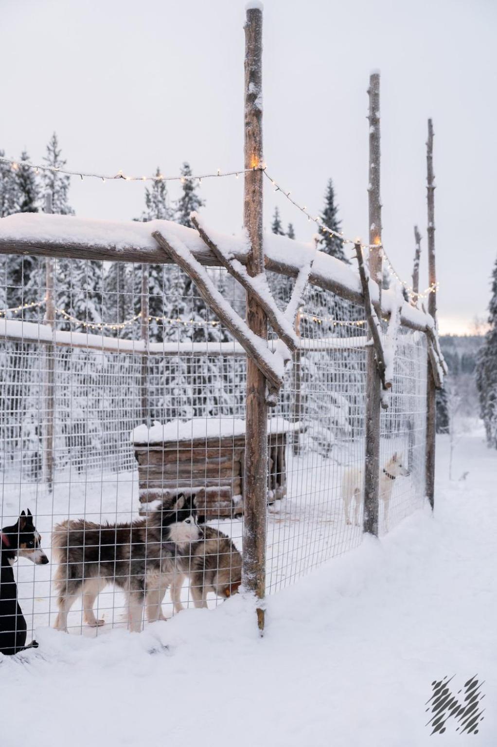 Nova Galaxy Village Rovaniemi Exterior foto